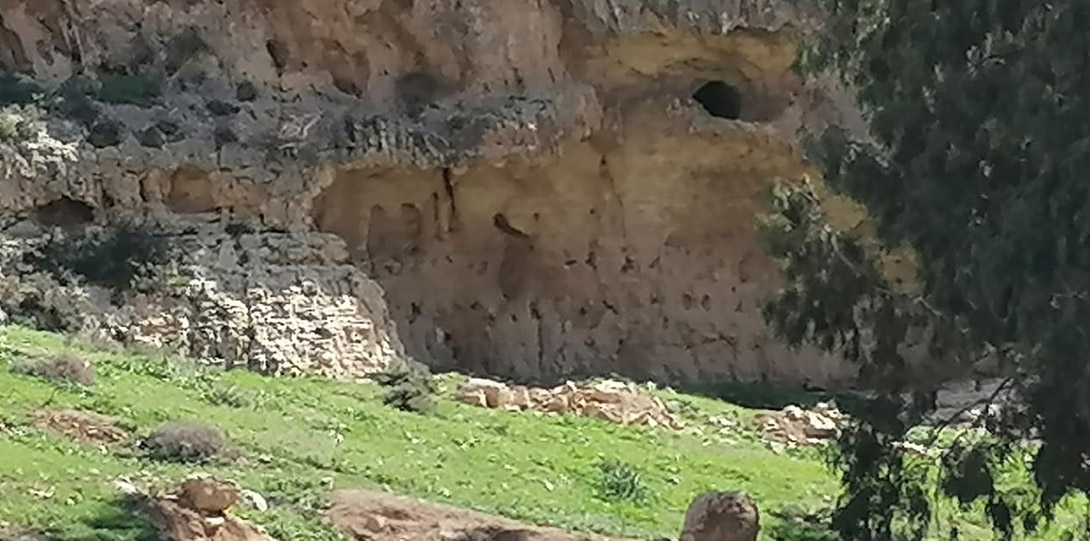 عيون نبي الله سيدنا موسى عليه السلام