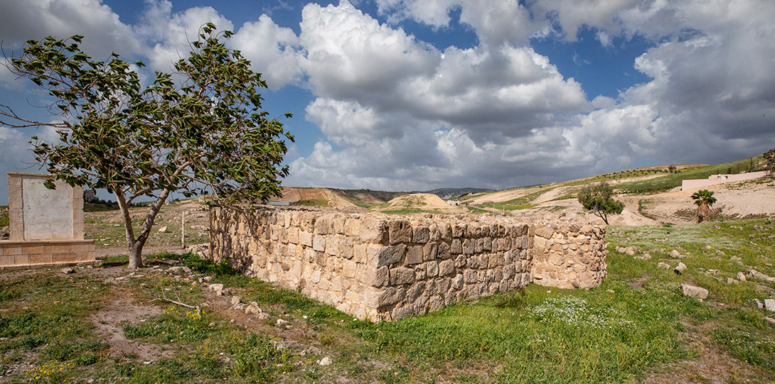 معركة فحل