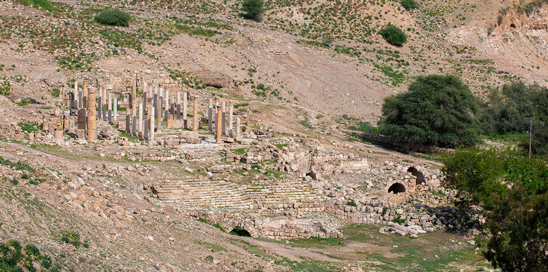 معركة فحل